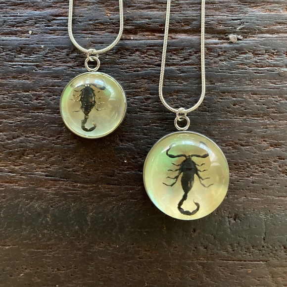 Hand Crafted Jewelry - Real Scorpion Iridescent Festival Necklace Resin Taxidermy Pendant Scorpio